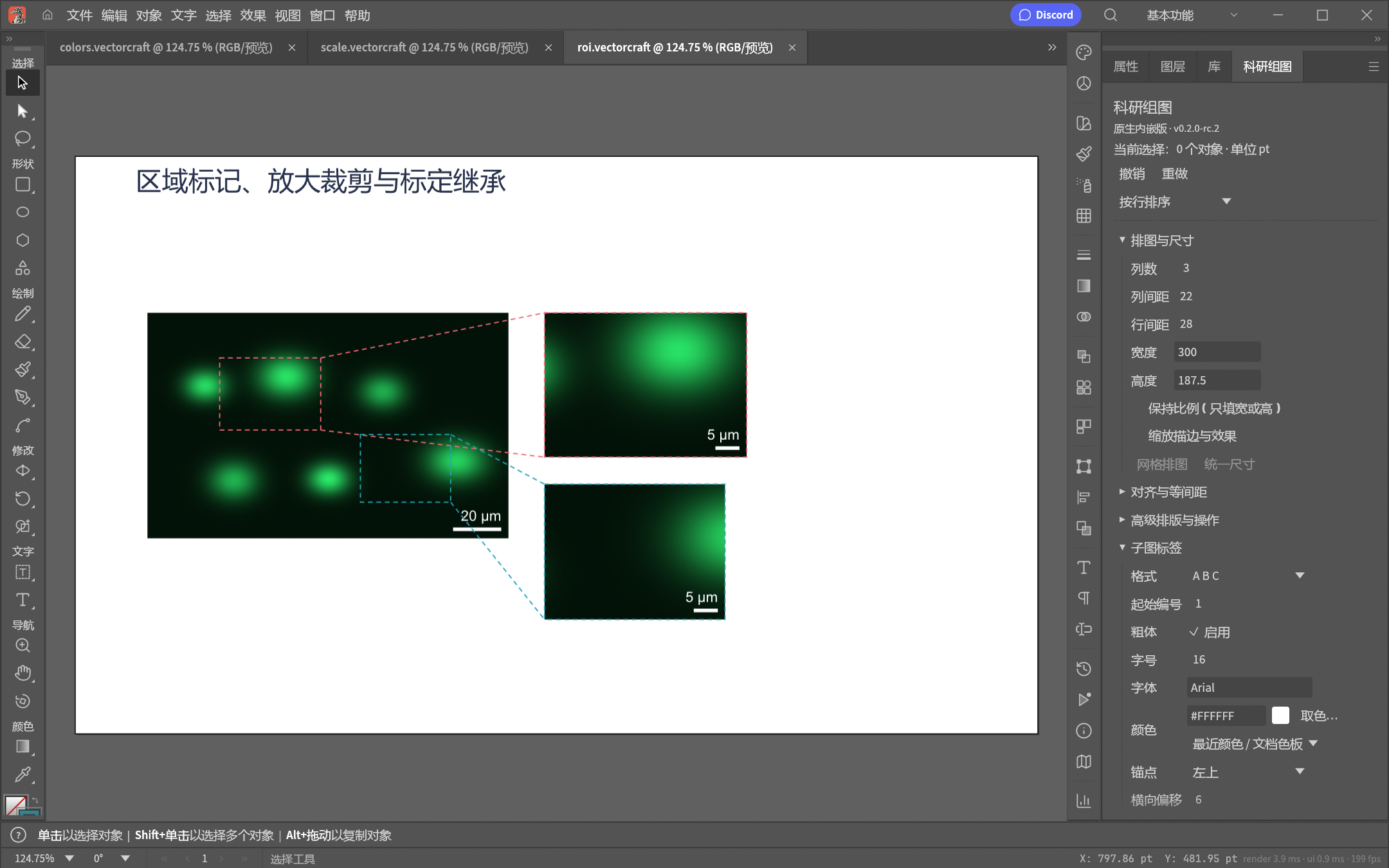 多 ROI 关联放大在真实RC2程序中的演示结果